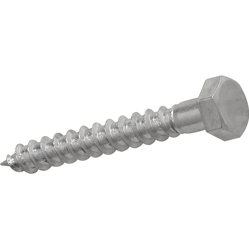 Stainless Steel coach screw exporter