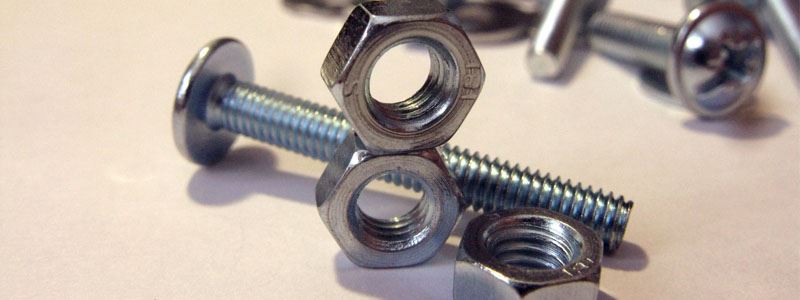 Fasteners Manufacturer in Belgium